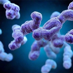 Липосомальный лактоферрин как потенциальное средство профилактики и лечения COVID-19