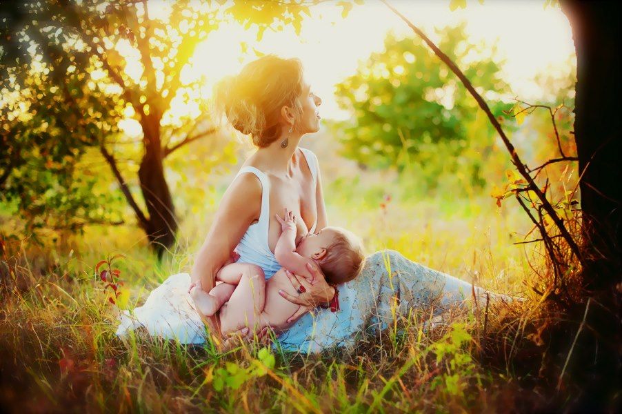 Функции лактоферрина женского молока