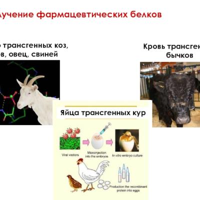 38d8aea4bffb1929940edf32d043bcd2 800x 38d8aea4bffb1929940edf32d043bcd2 800x
